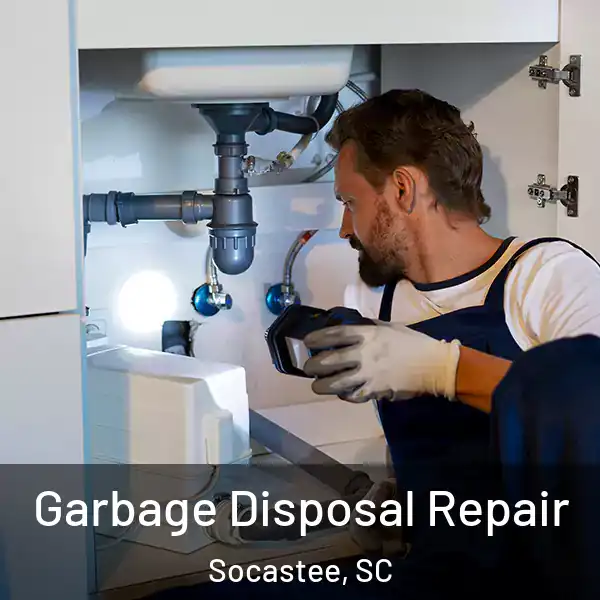  Garbage Disposal Repair Socastee, SC