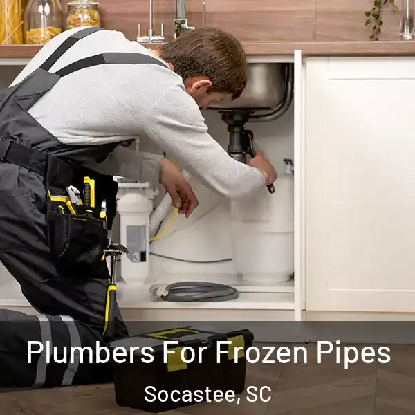  Plumbers For Frozen Pipes Socastee, SC