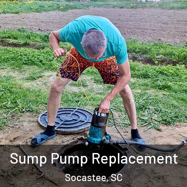  Sump Pump Replacement Socastee, SC