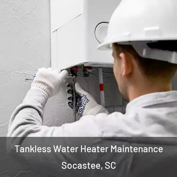  Tankless Water Heater Maintenance Socastee, SC