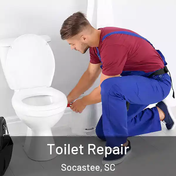  Toilet Repair Socastee, SC