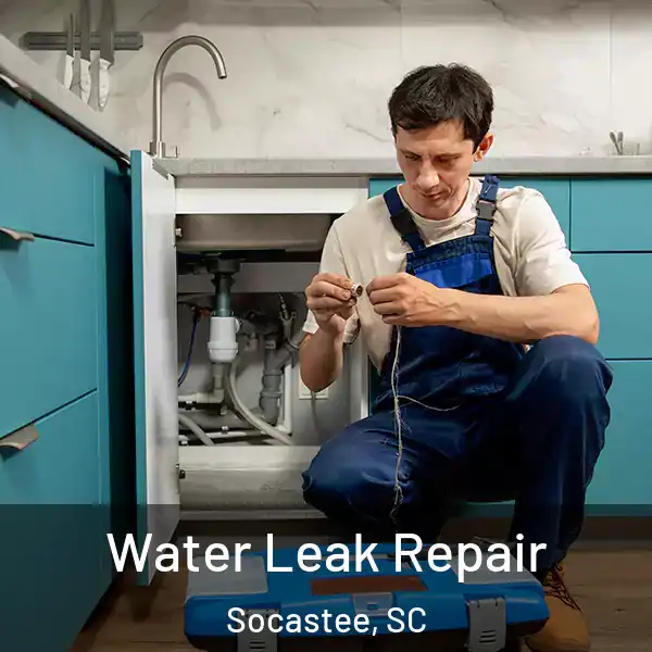  Water Leak Repair Socastee, SC