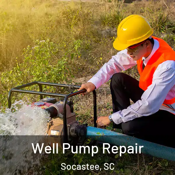  Well Pump Repair Socastee, SC