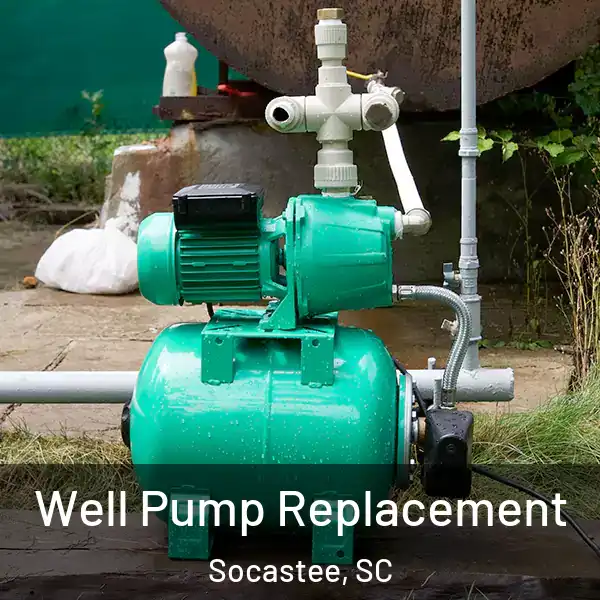  Well Pump Replacement Socastee, SC
